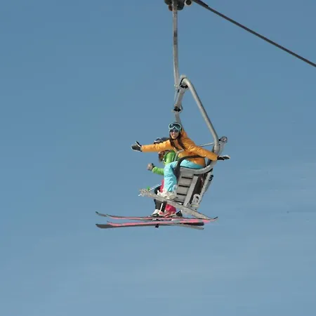 Petit Arnica * סלבה די קדורה