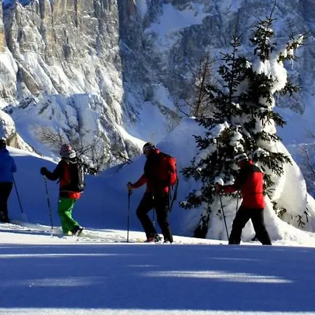 Petit Arnica דירה *