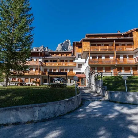Daire Petit Arnica Selva di Cadore