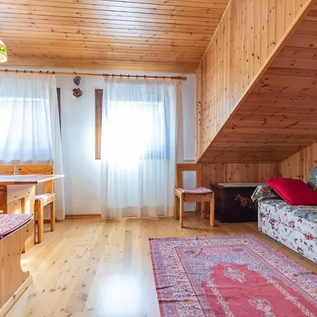 Petit Arnica Appartamento Selva di Cadore