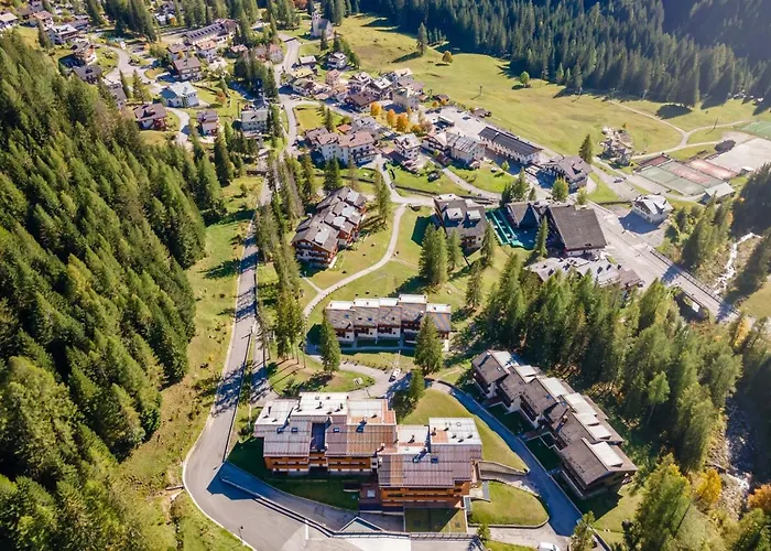 Petit Arnica Selva di Cadore